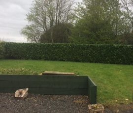Hedge Services In County Antrim & County Down