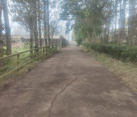 Pathway Cleaning In County Antrim & County Down