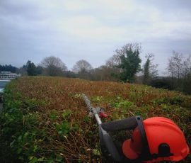Hedge Trimming Services In County Antrim & County Down